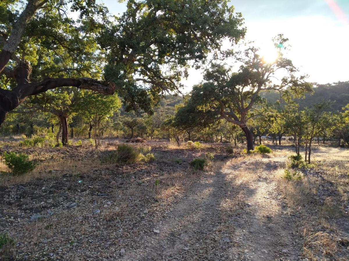La Romera Villanueva del Duque Eksteriør billede